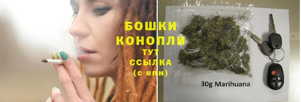 крисы Бугульма