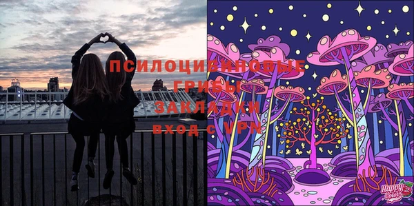 крисы Бугульма