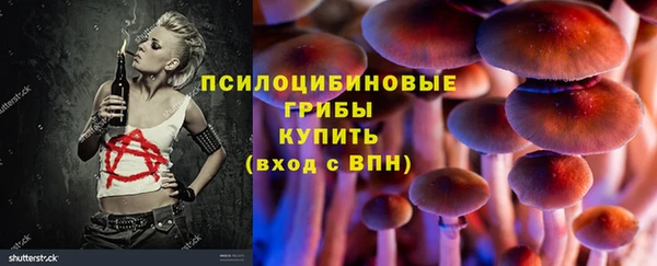 марки lsd Бородино